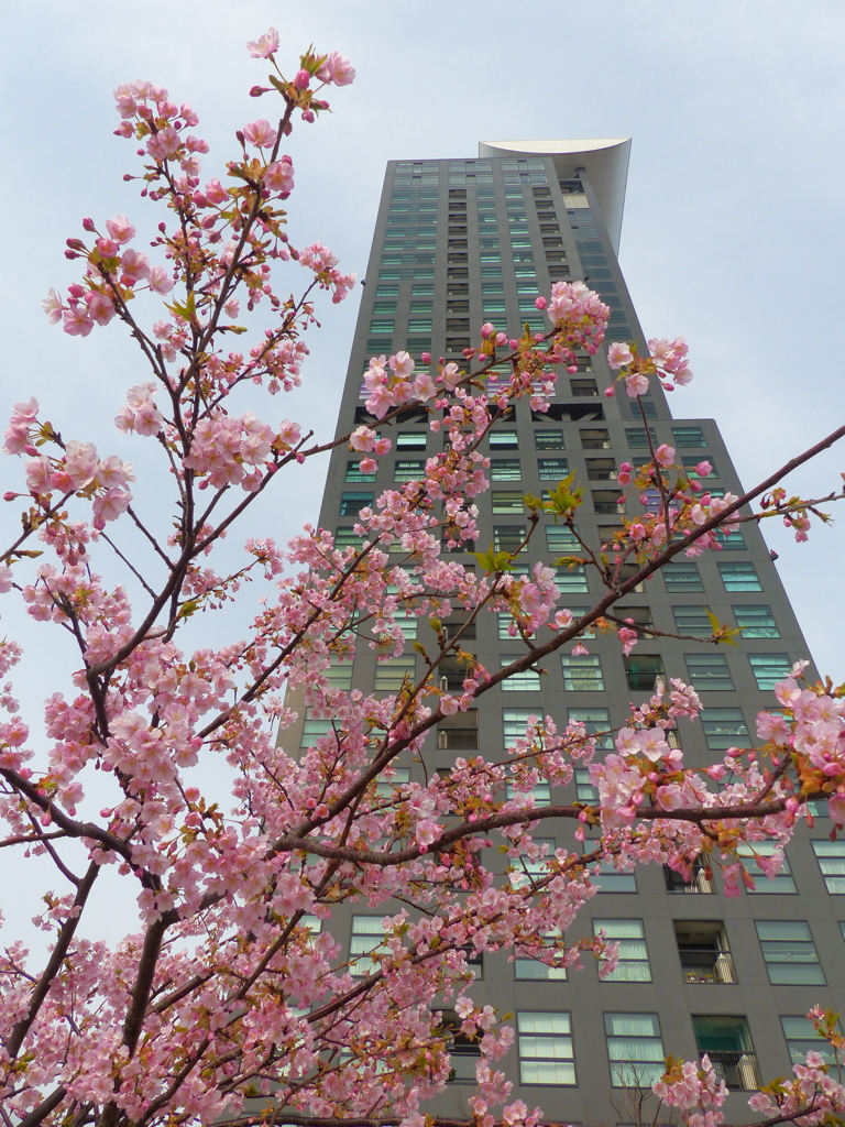 門司港レトロハイマート