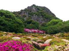 ツツジ（御船山楽園）