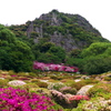 ツツジ（御船山楽園）