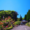 石仏と花の寺　鬼子岳城跡　法安寺