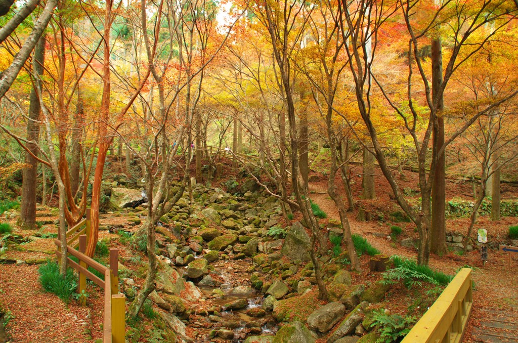環境芸術の森　遊歩道