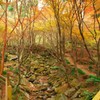 環境芸術の森　遊歩道