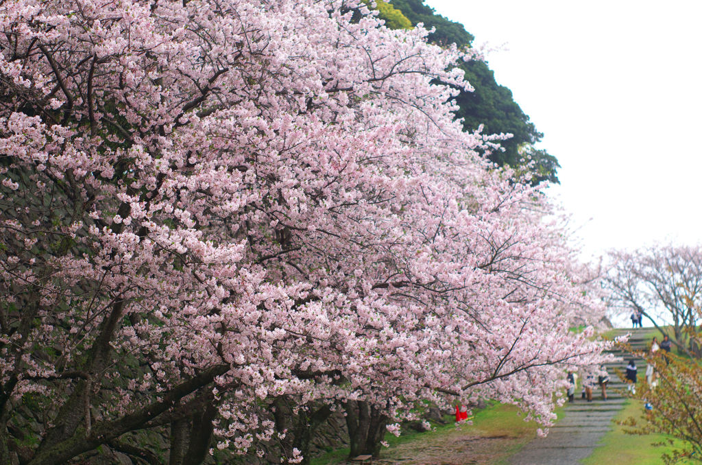 名護屋城跡