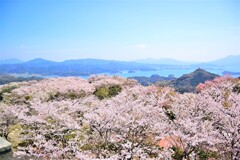 大山公園　展望台