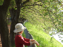 新緑の季節