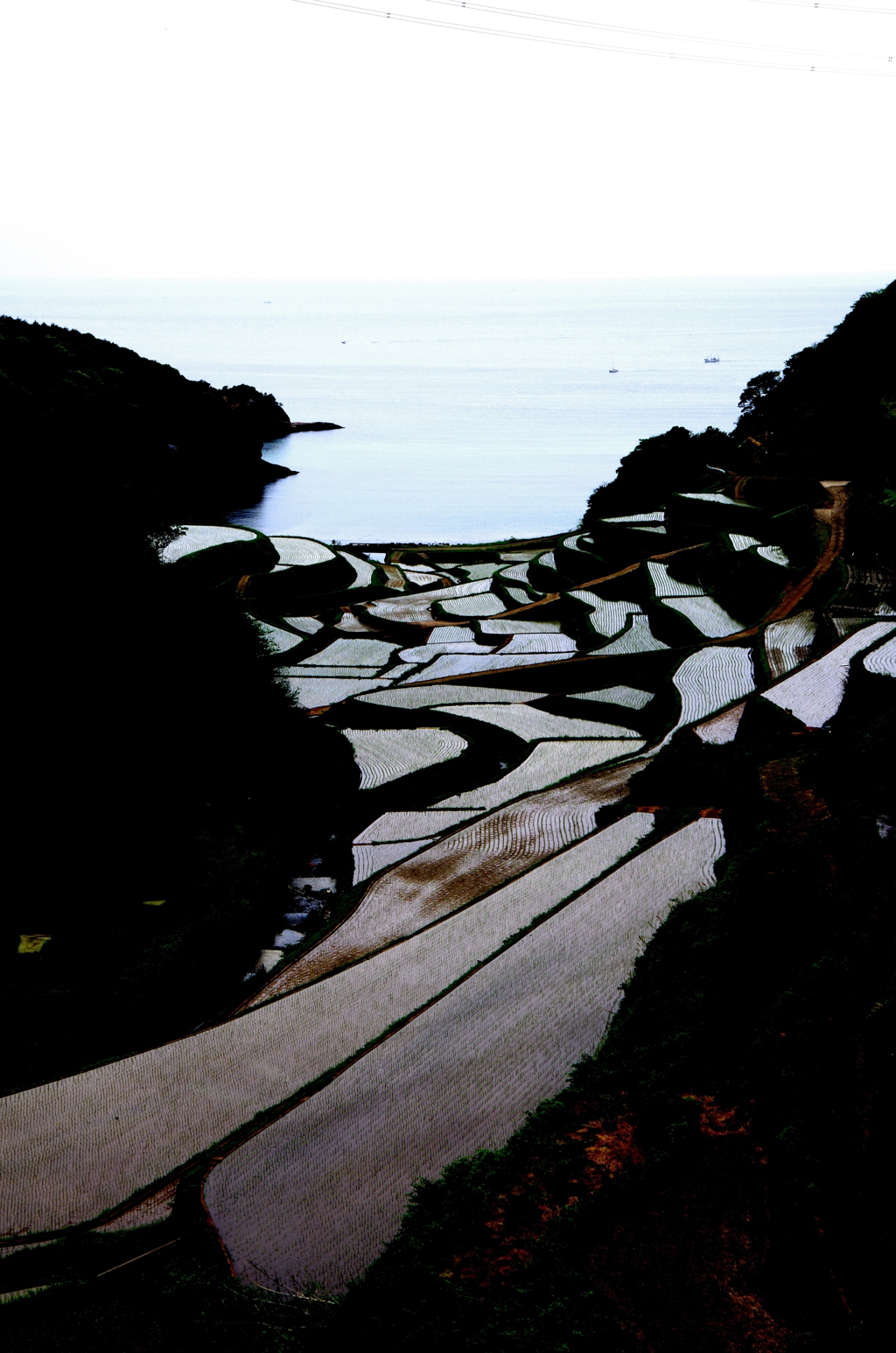 浜野浦の棚田