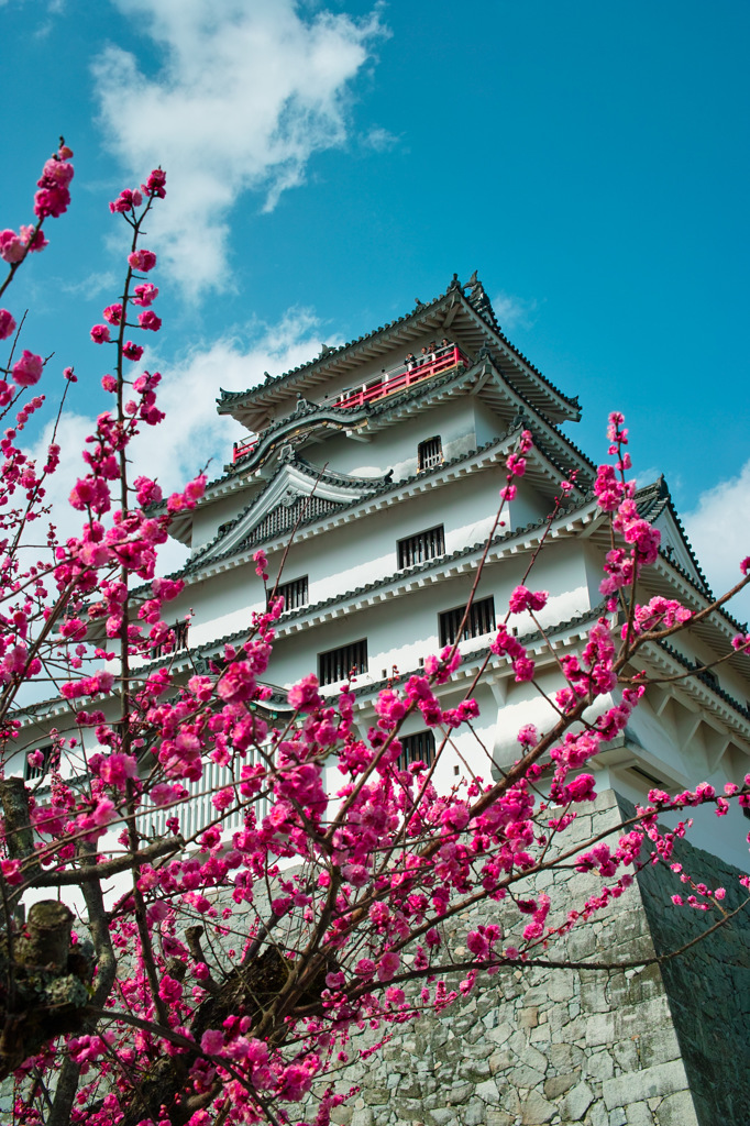 New Karatsu Castle