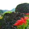 石垣と彼岸花