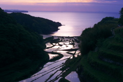 浜野浦の棚田　2018