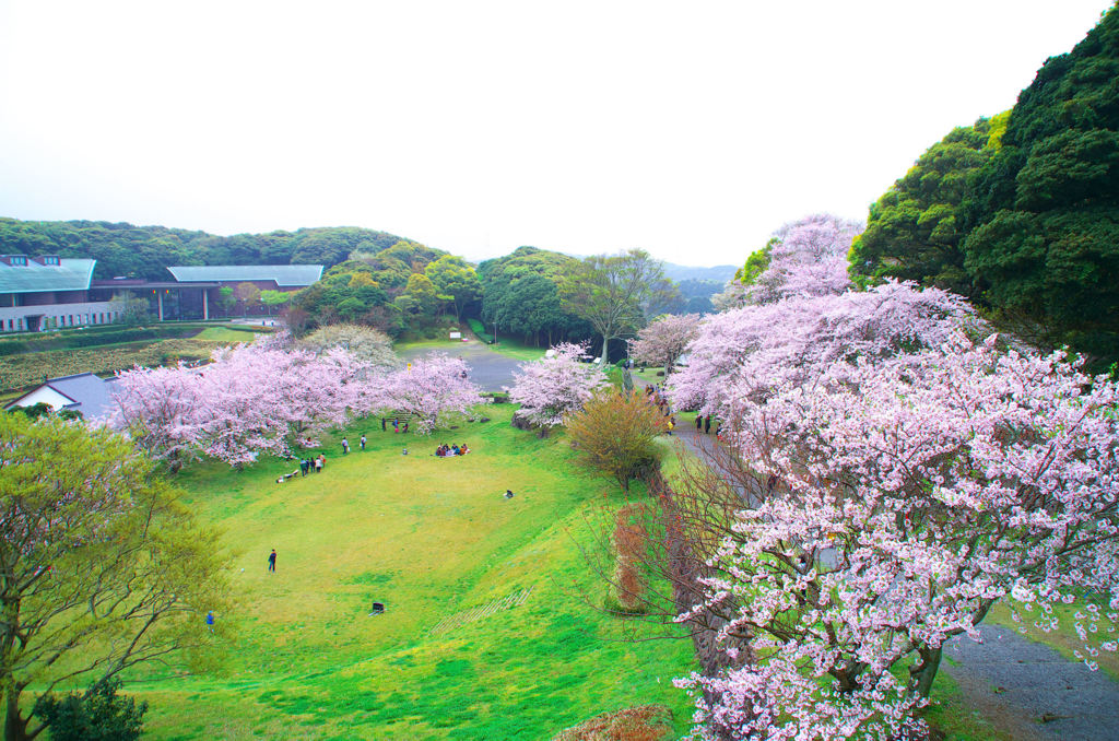 名護屋城跡