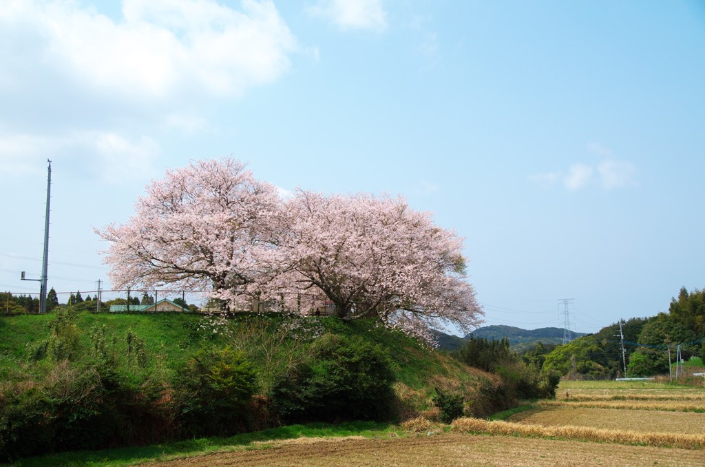 鎮西町石室分校跡