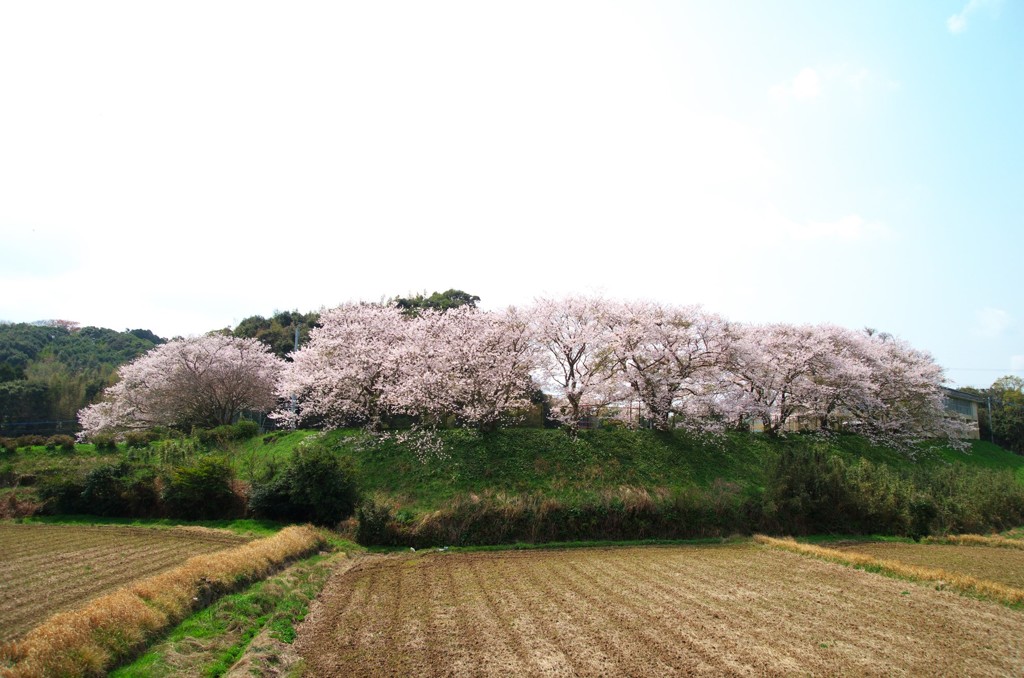 鎮西町石室分校跡