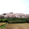 鎮西町石室分校跡