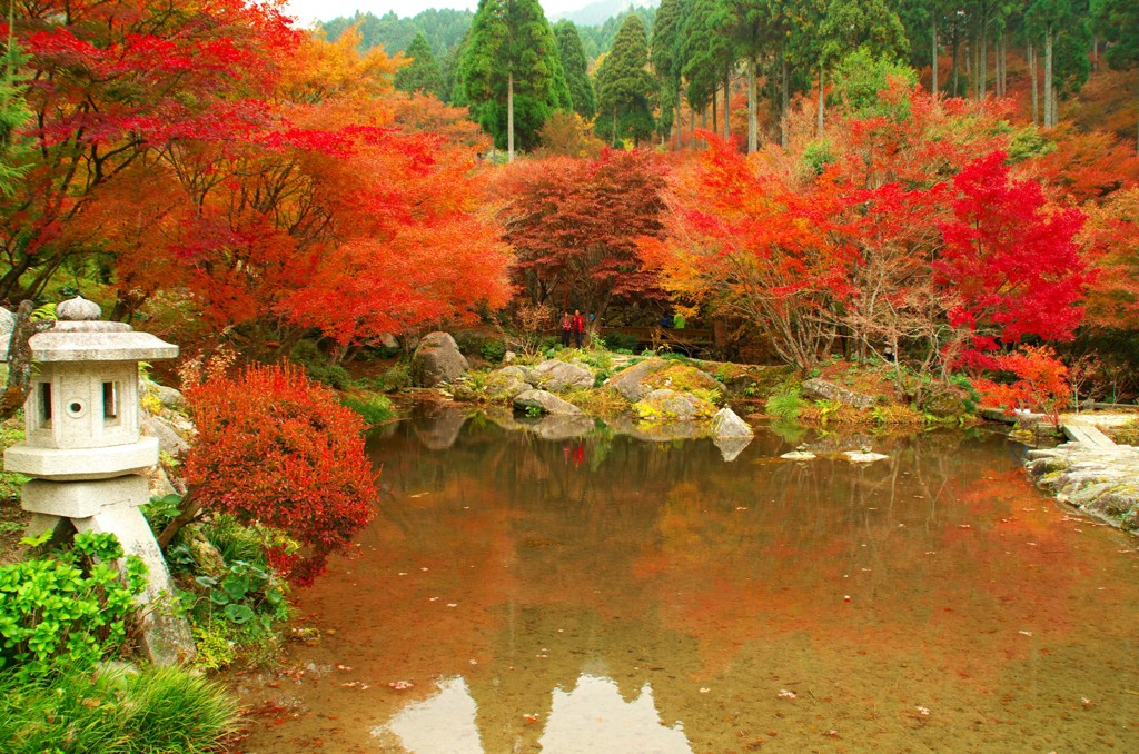 環境芸術の森