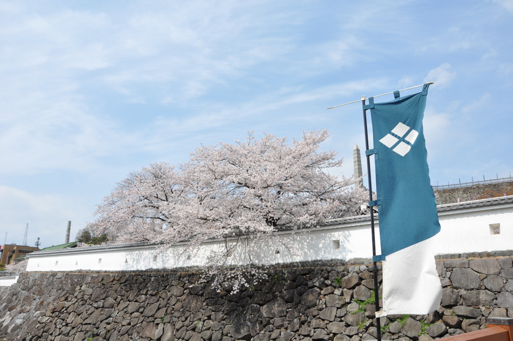 舞鶴城公園