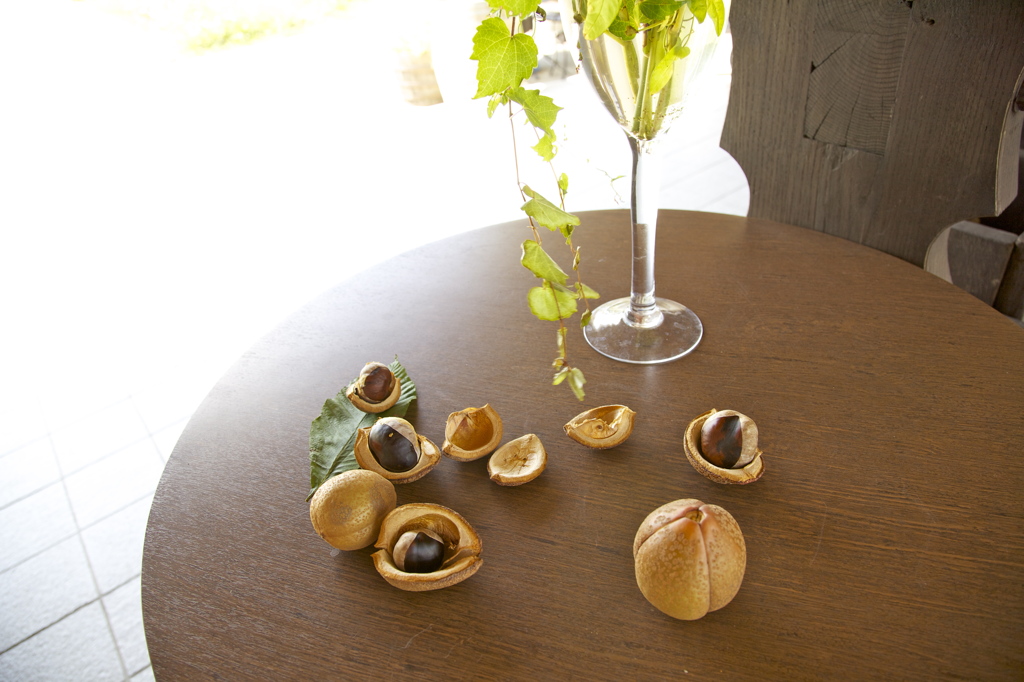 Kinomi to table