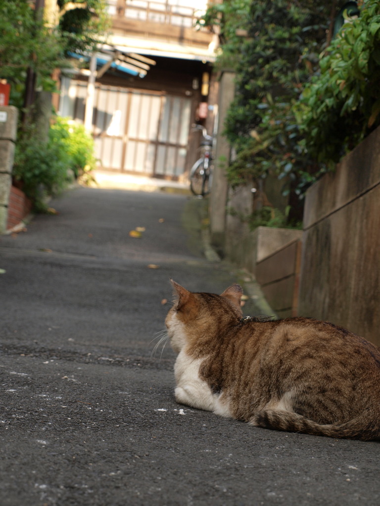 見つめる理由