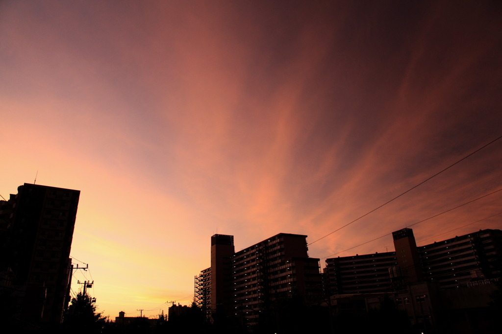 集結する空　朝に向かって