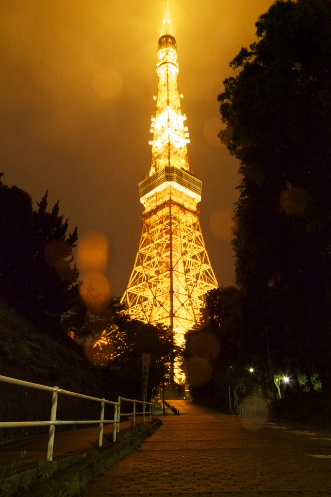 東京の力　