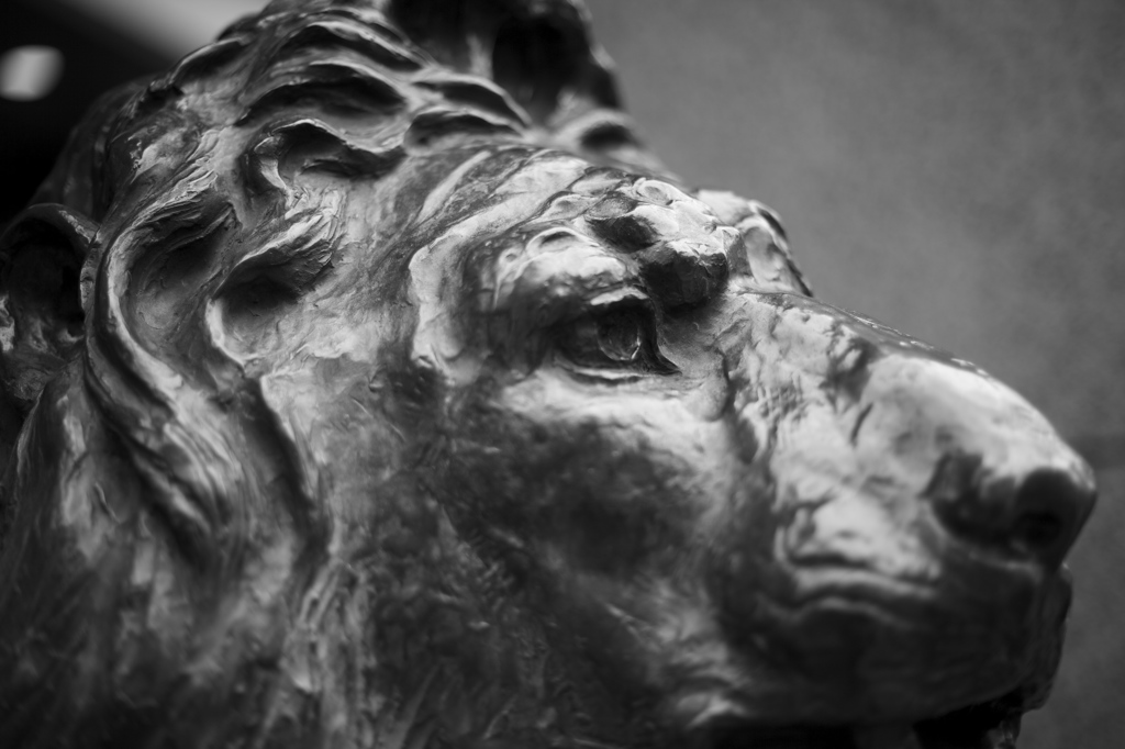 LION HEART
