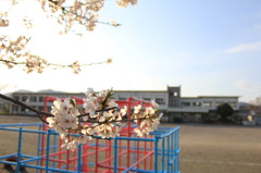 春休み