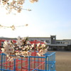 春休み