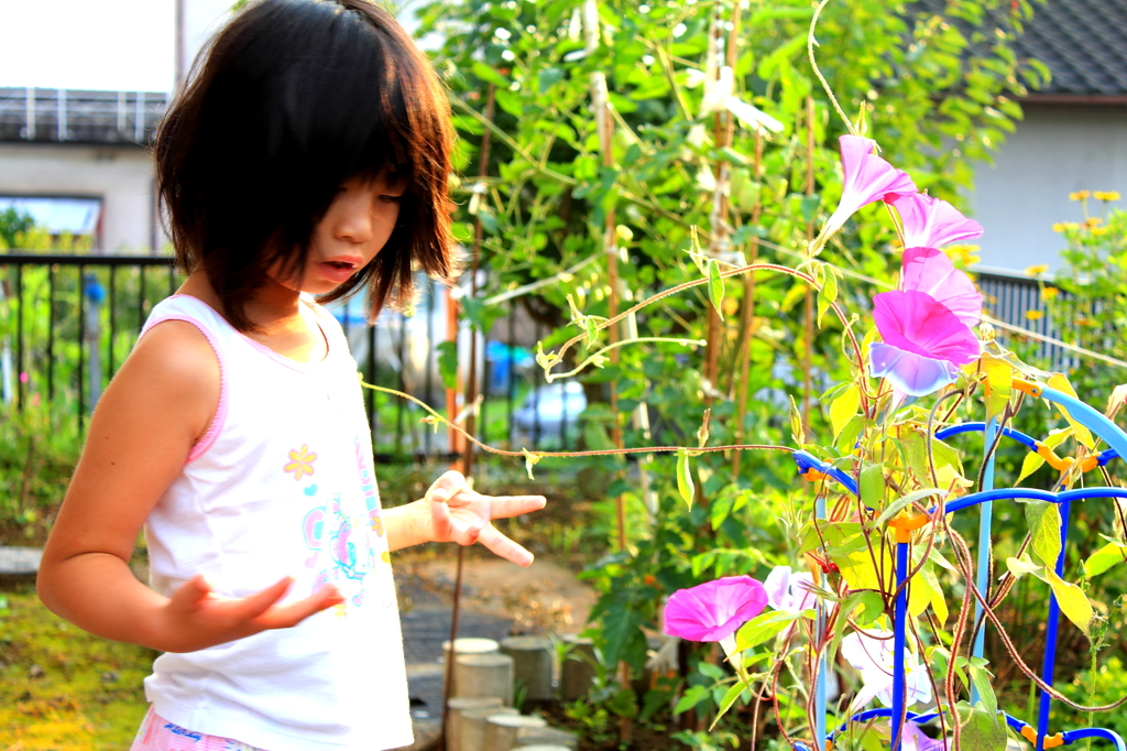 夏休みの宿題