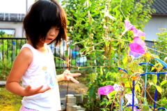 夏休みの宿題