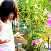 夏休みの宿題