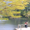 ほのぼの
