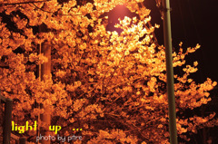 light up