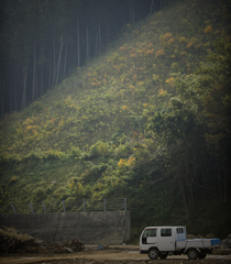 大川小学校の裏山