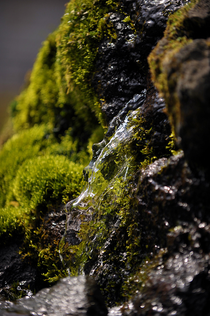 水