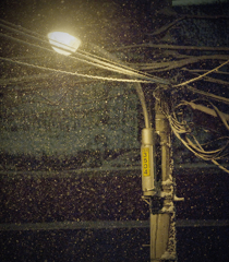 遅ればせの雪４