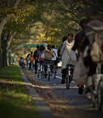 朝の北大の自転車通学