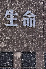 生命