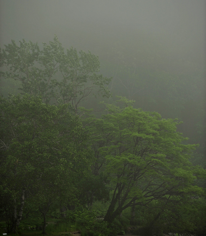 霧