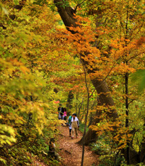 紅葉円山