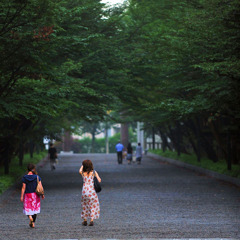 夕暮れの参道