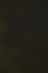 星７