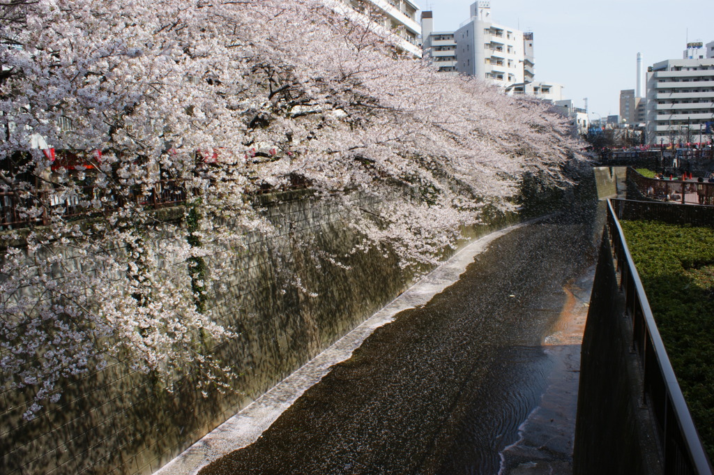 DSC00001