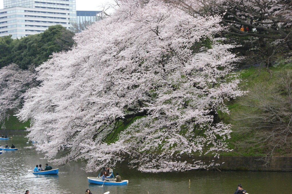 DSC00028