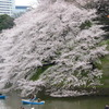 DSC00028