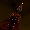 限定東京タワー２
