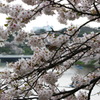DSC00019