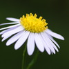 DSC00094