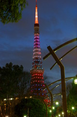 限定東京タワー６