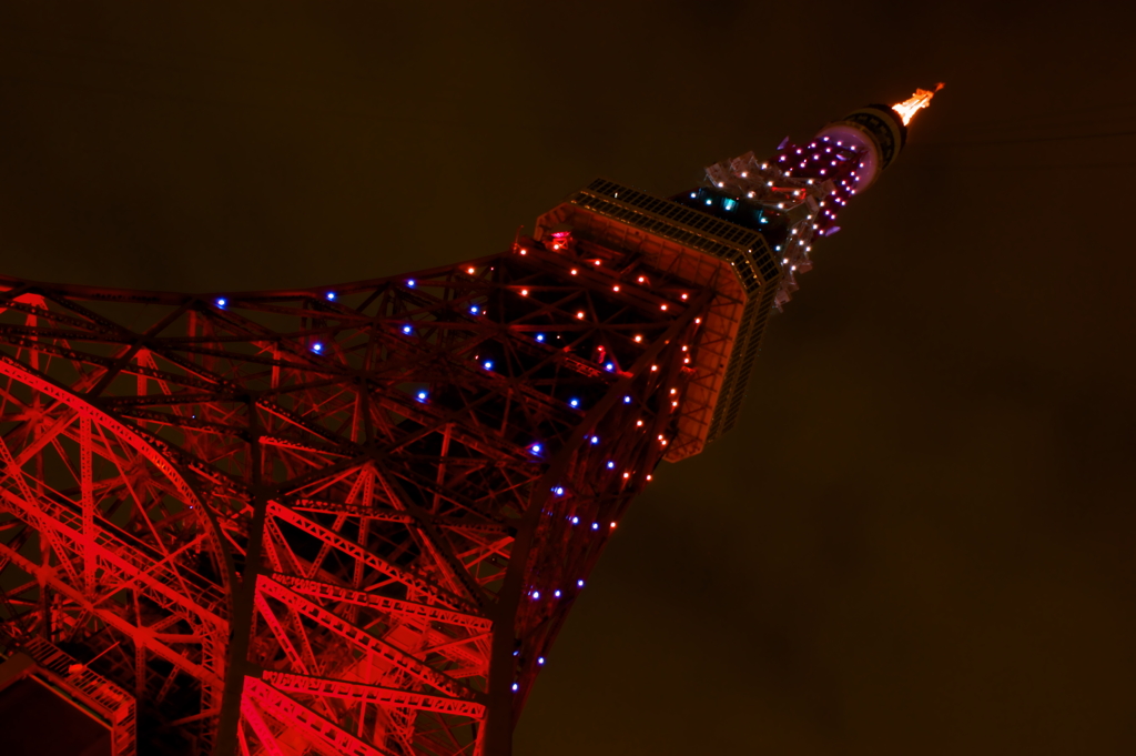 限定東京タワー３