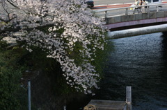 DSC00028