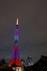 限定東京タワー５